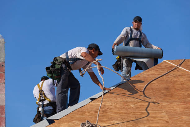 Best Commercial Roofing Services  in Woodville, OH