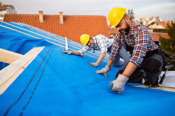Best Local Roofing Companies  in Woodville, OH
