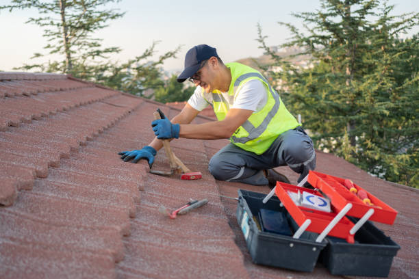 Best Gutter Installation and Roofing  in Woodville, OH