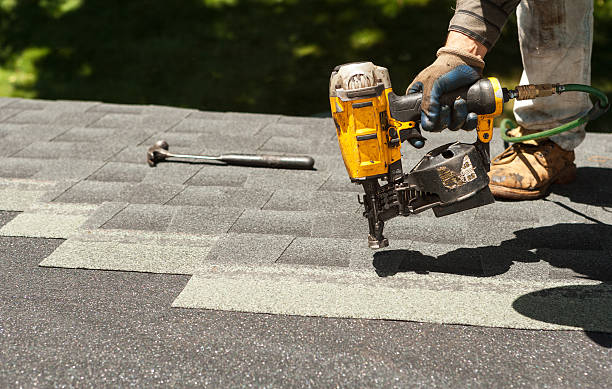 Best Roof Gutter Cleaning  in Woodville, OH